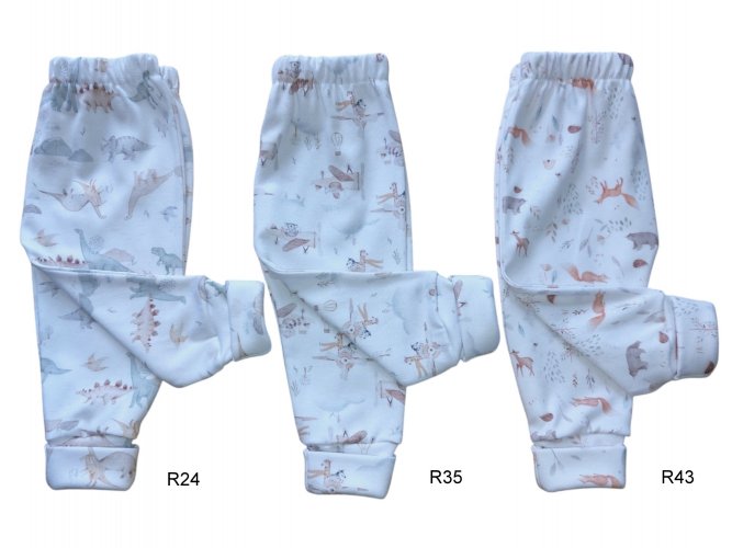 Art. i269 r24 / r35 / r43