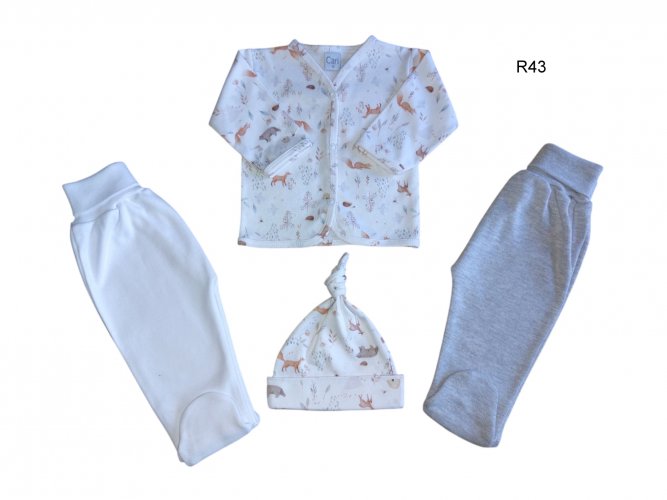 Art. a364 / Art. a363 r43