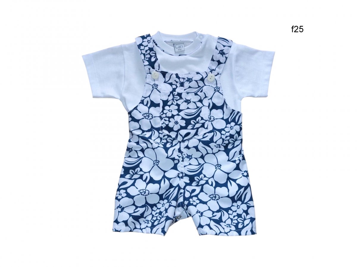 Art a745 / Art a747 f25